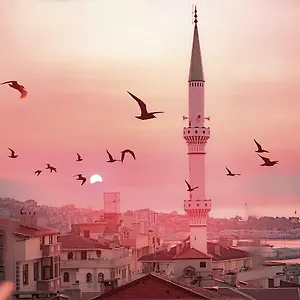هالا آبلا إفليري شقة ترابزون